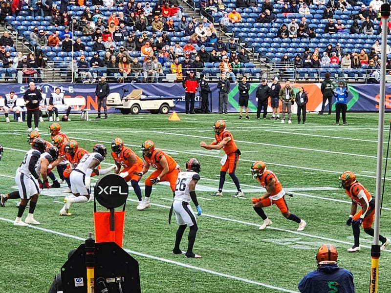 Seattle Sea Dragons