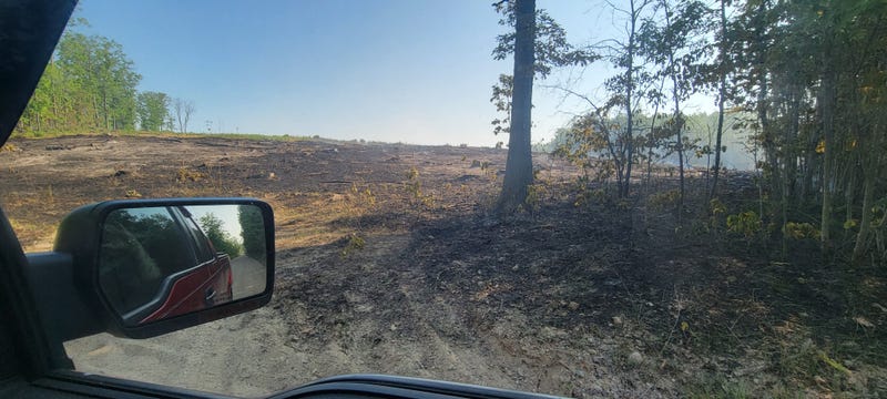 Wildfire damage