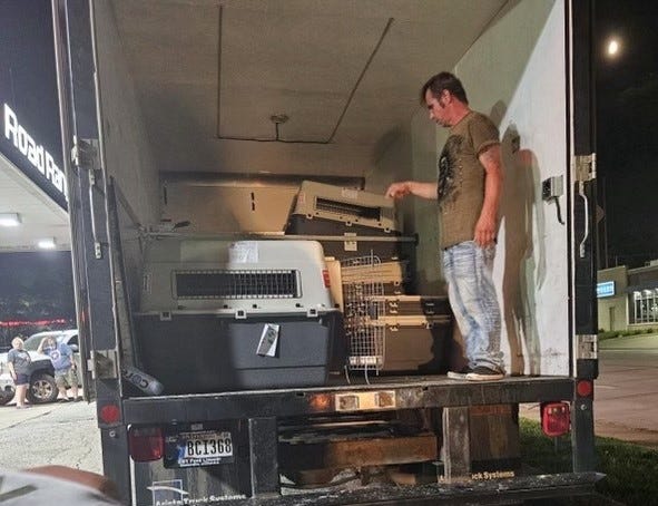 German shepherds truck
