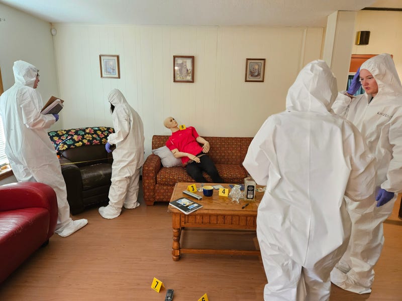 CSI, Hamline University, Forensic Science