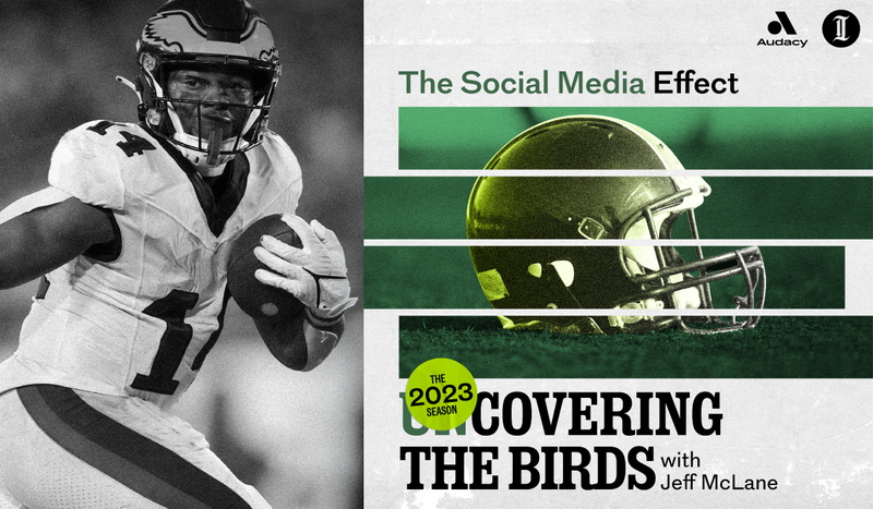 unCovering the Birds