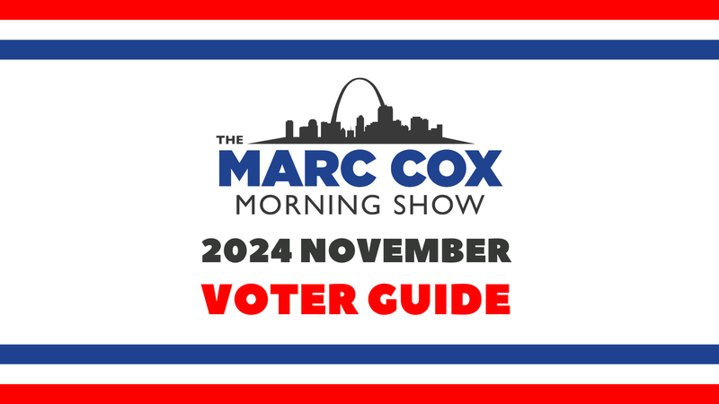 Voting Guide 