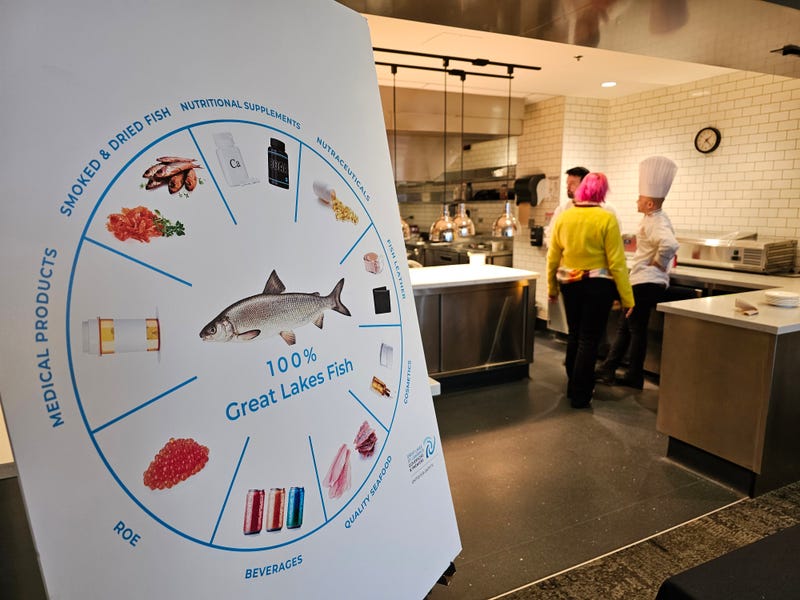 Fish chart