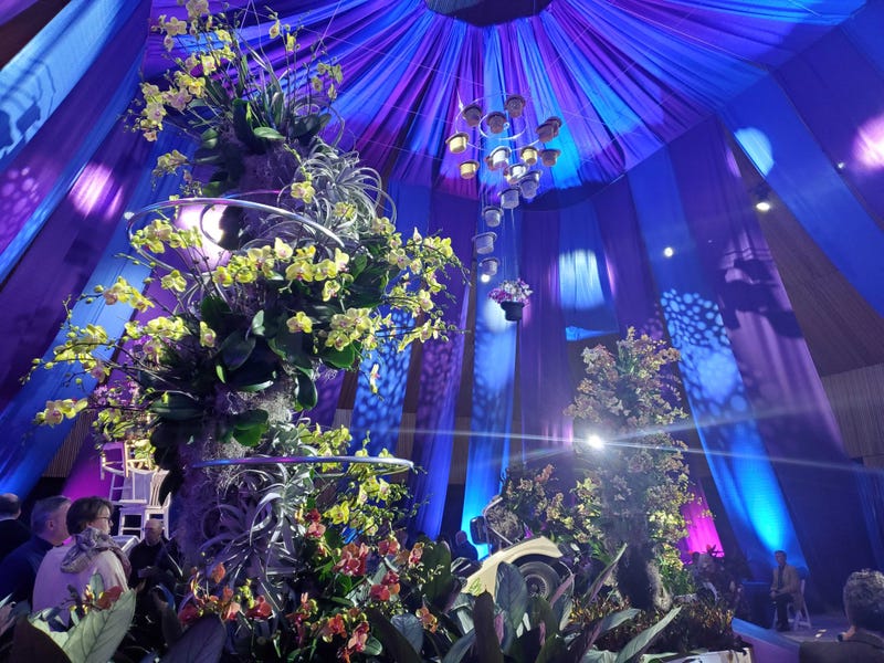 One of the displays at the Chicago Botanic Garden Orchid Show.