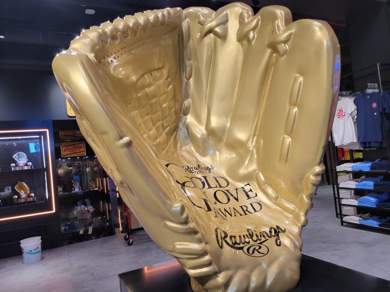 Rawlings Experience