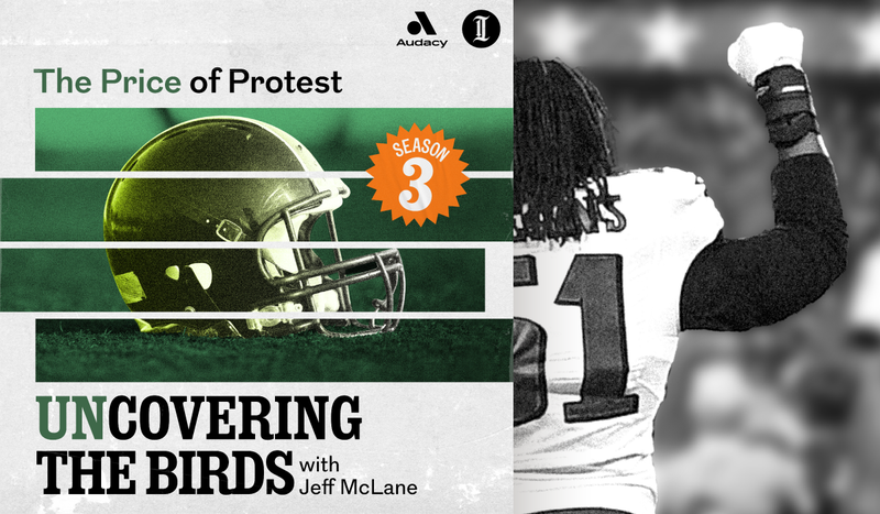 unCovering the birds protest graphic