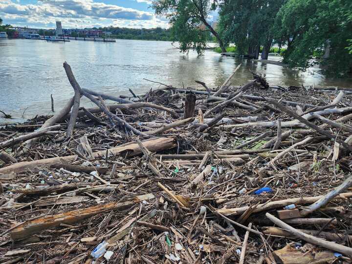 River debris