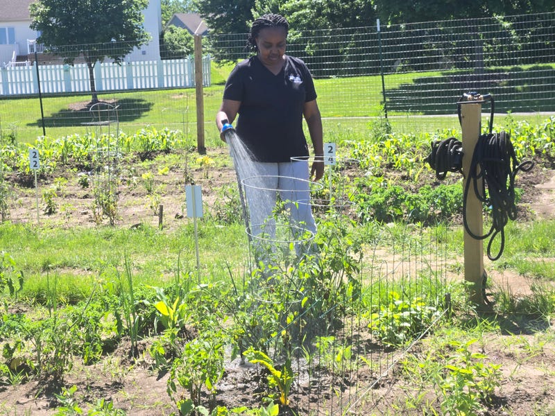The Food Scraps Pickup Program is the only one in the state where residents of Ramsey and Washington County have this opportunity to recycle food scraps from their homes.