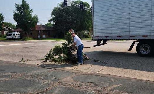 Tree cleaning