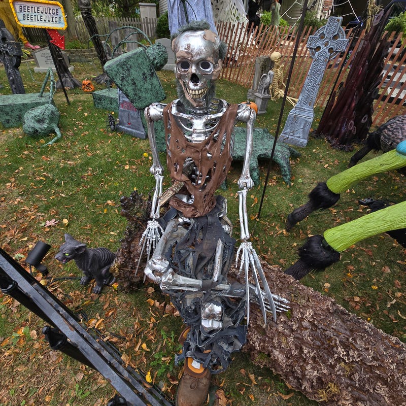 Wolverine skeleton