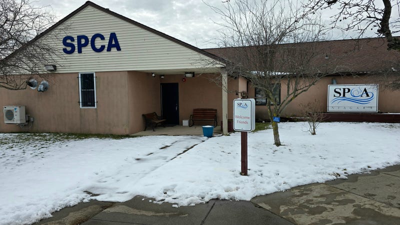 Niagara SPCA