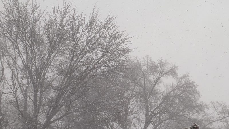 The snowy scene in Wichita, Kansas: Sunday, January 5, 2025