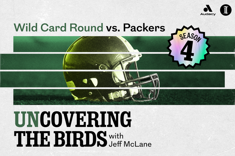 unCovering the Birds