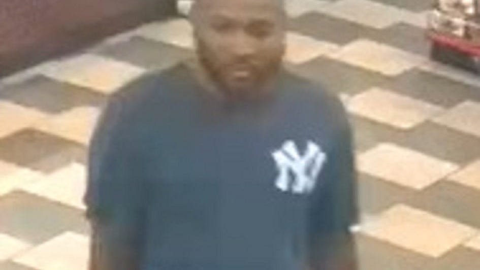 VIDEO: Bronx pet shop employee punched during robbery, suspect sought