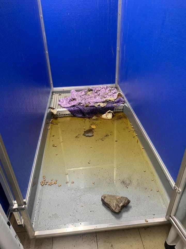 A Chicago animal shelter is picking up the pieces after part of its roof collapsed.