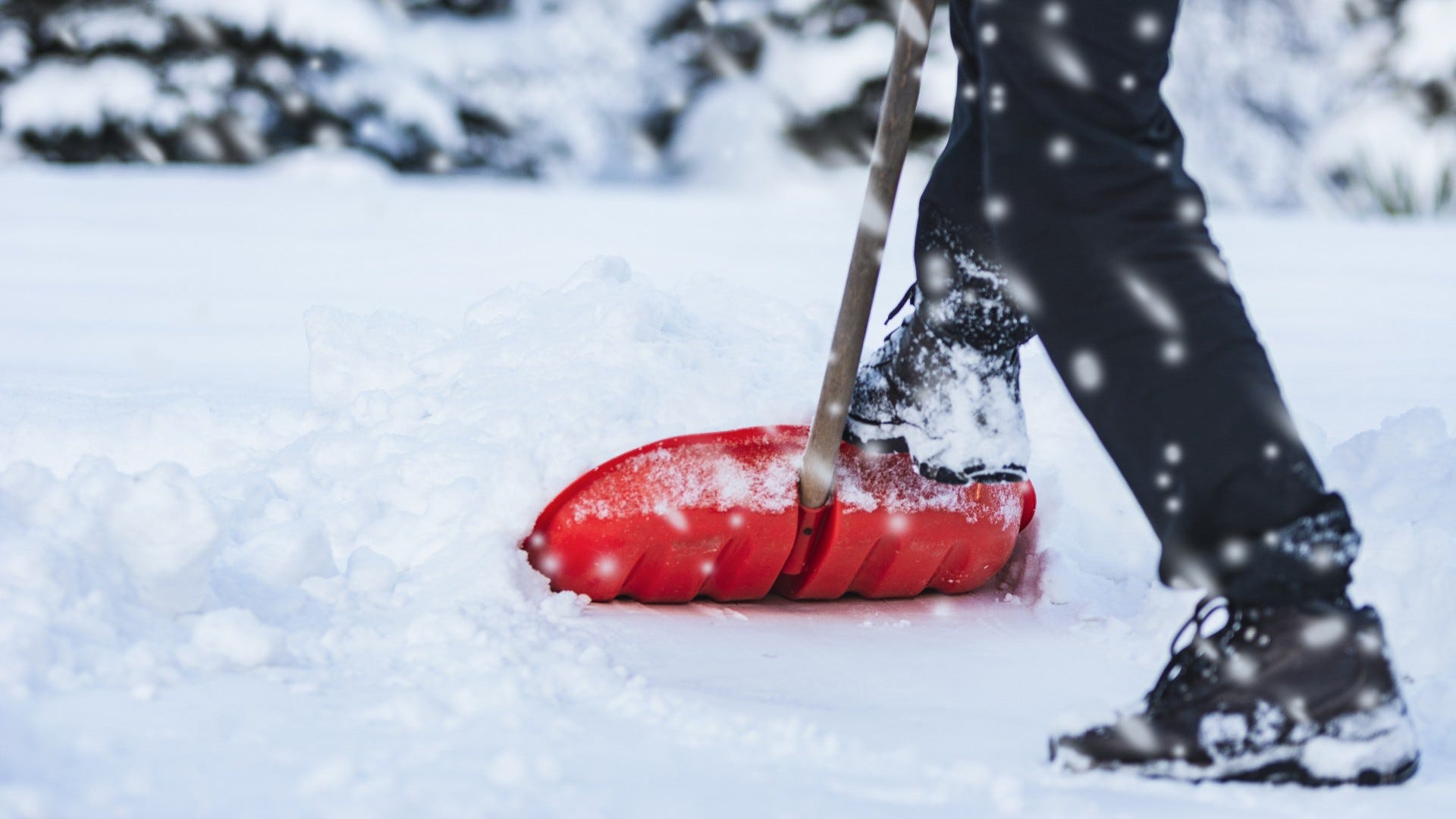 A Camden County snow service for people with limited mobility is back