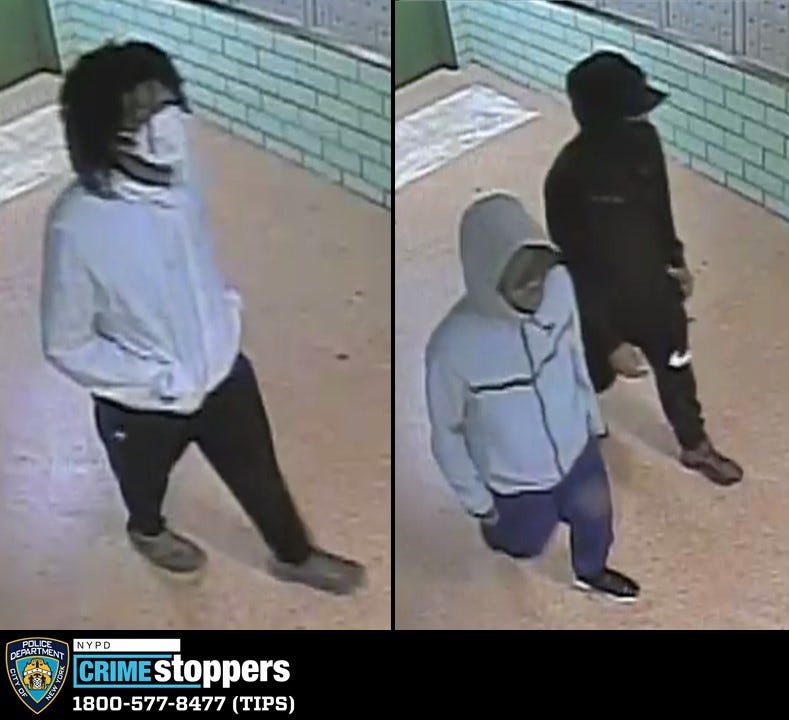 Bronx robbery suspects