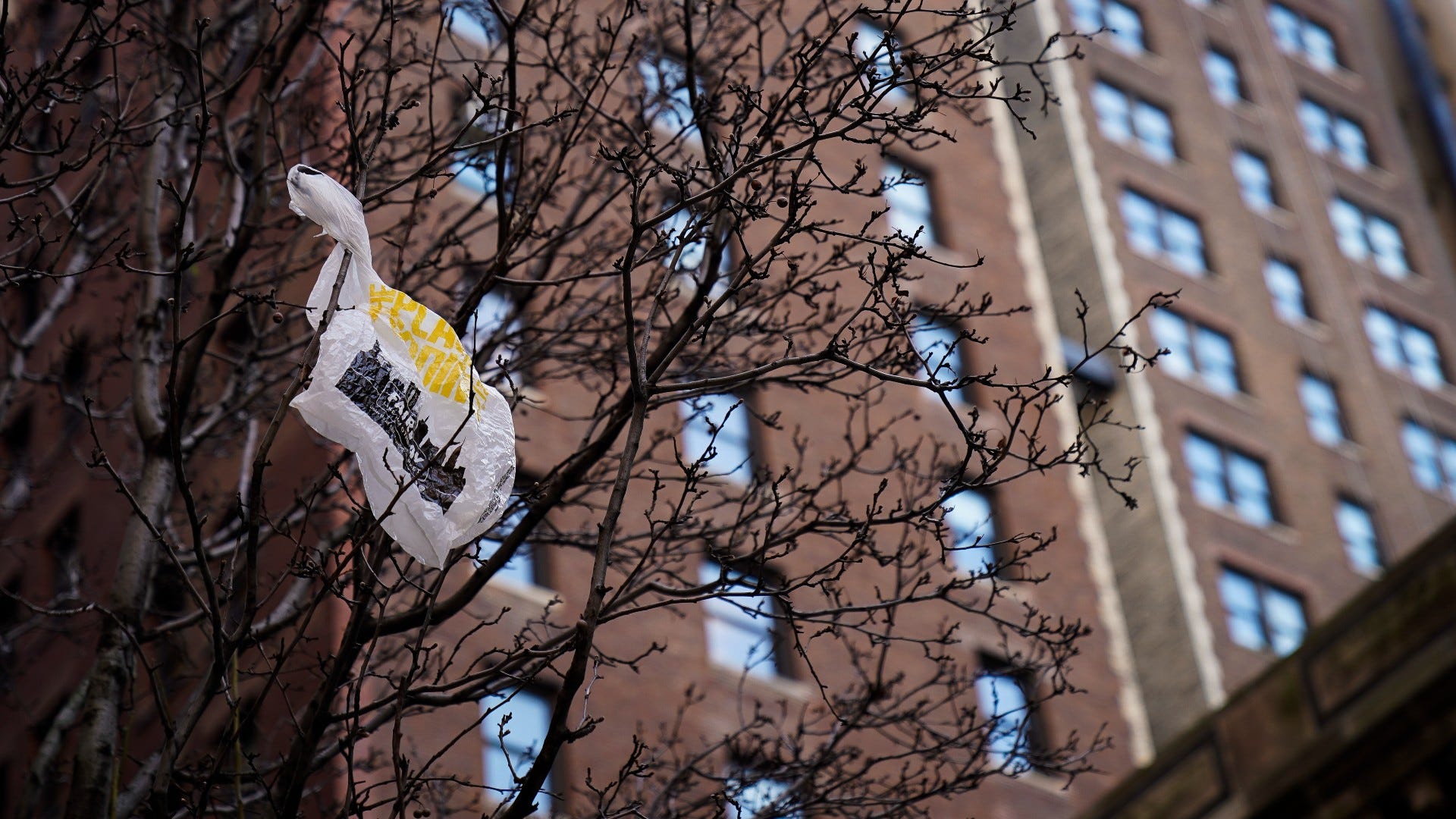 After 9 months of easing in, Philadelphia adjusts to plastic bag ban