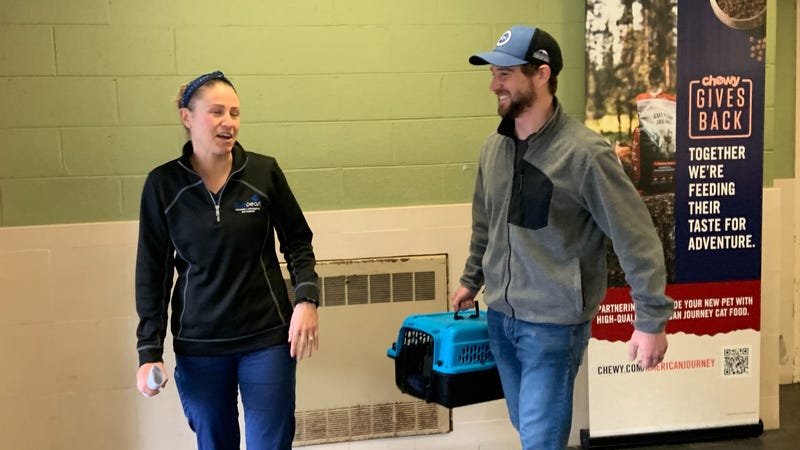 Dr. Katie Venanzi and her husband pick up Buddy from the PSPCA to foster him at home while he heals from surgery.