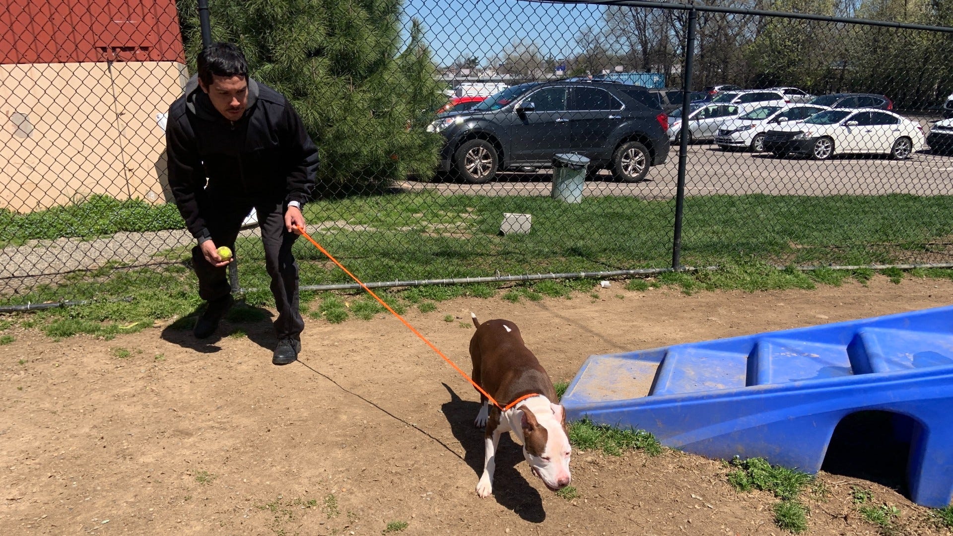 Saving shelter dogs' lives while giving formerly incarcerated a jump on the job hunt