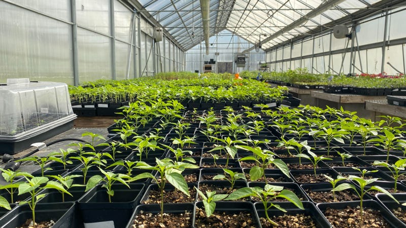 Camden County Sustainability Campus