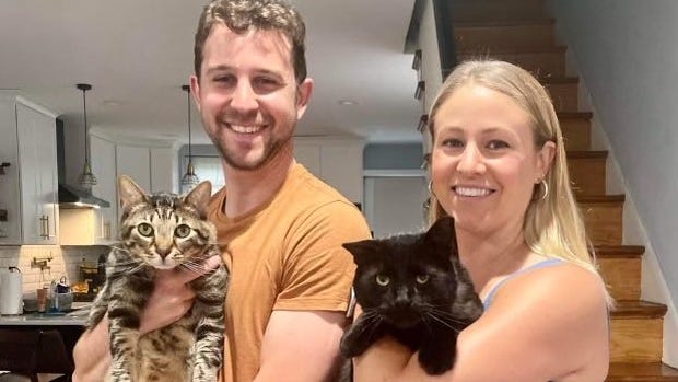 Buddy the cat finds his forever home with a vet who helped save his life
