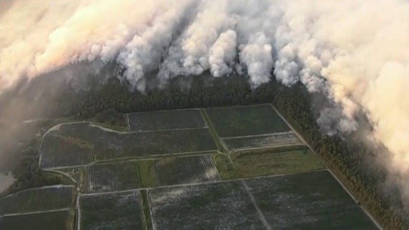 Wharton State Forest fire