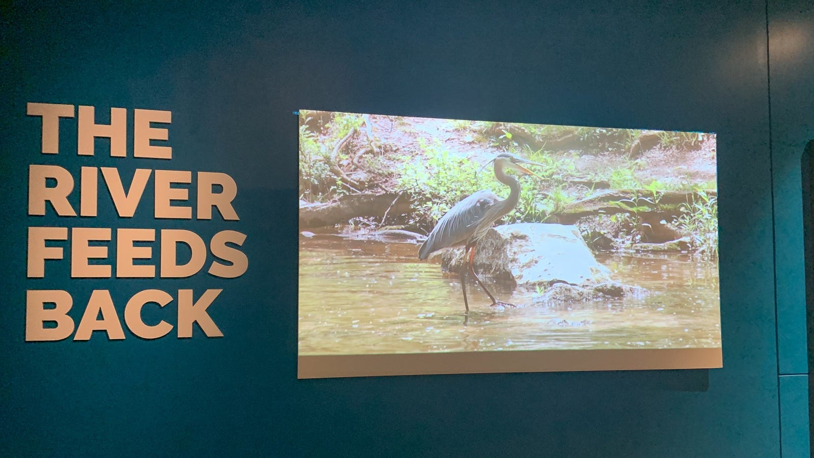 New urban watershed education walking tour to launch in Center City