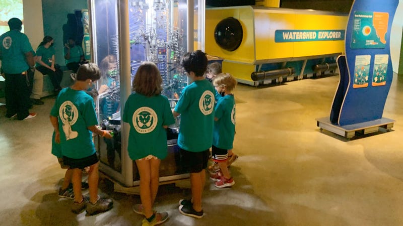 Children enrolled in the Academy of Natural Sciences' summer camp explore the exhibit "Ocean Bound."