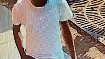 VIDEO: 2 hospitalized in Bronx shooting near St. Mary's Park, suspect at-large