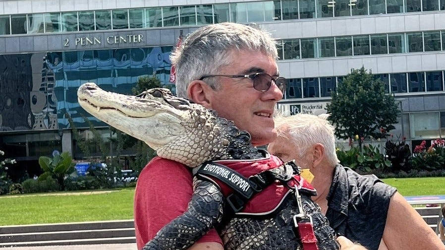 VIDEO: Wally, the gator that loved up LOVE Park, has an adorable backstory