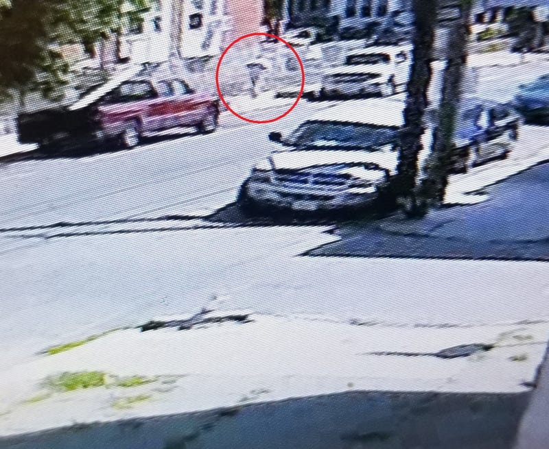 A surveillance photo of someone whom police say struck two young girls and a man with a truck in West Philadelphia on Friday, then fled the scene.