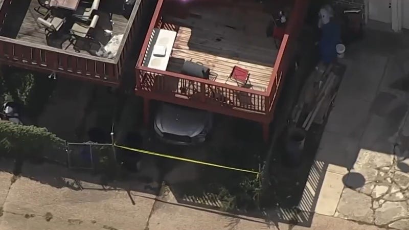 The scene in Northeast Philadelphia where, police say that on Tuesday, two dogs attacked a toddler who was listed in critical condition.