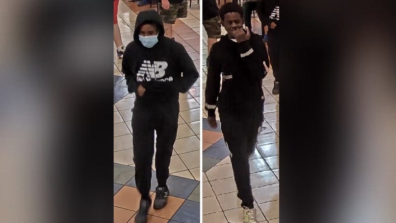 A pair of suspects whom Abington Township Police say attacked and carjacked an 82-year-old man at a mall.