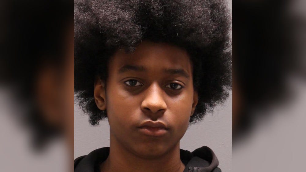 Police name 15-year-old, arrest 17-year-old, both Roxborough suspects