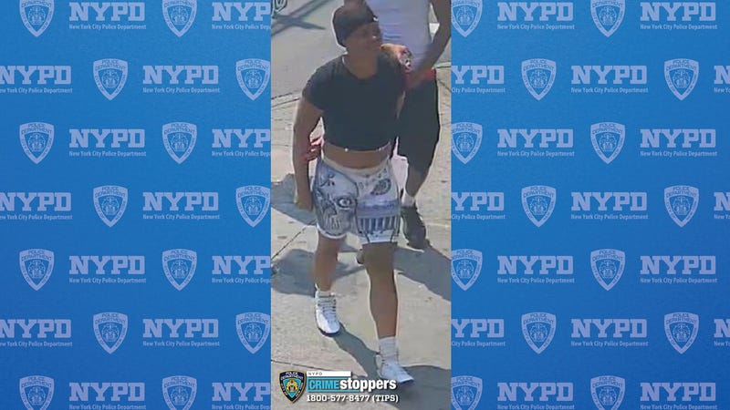 One of three suspects sought in the assault of a woman in the Bronx earlier this month and theft of her pets.