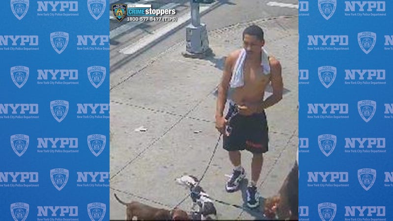 One of three suspects sought in the assault of a woman in the Bronx earlier this month and theft of her pets.