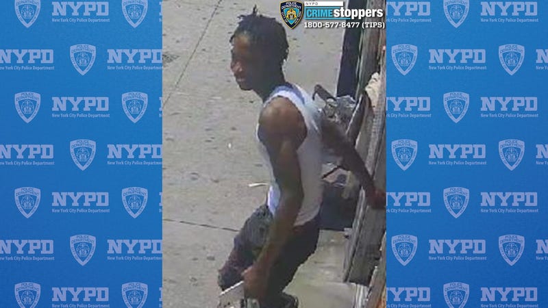 One of three suspects sought in the assault of a woman in the Bronx earlier this month and theft of her pets.