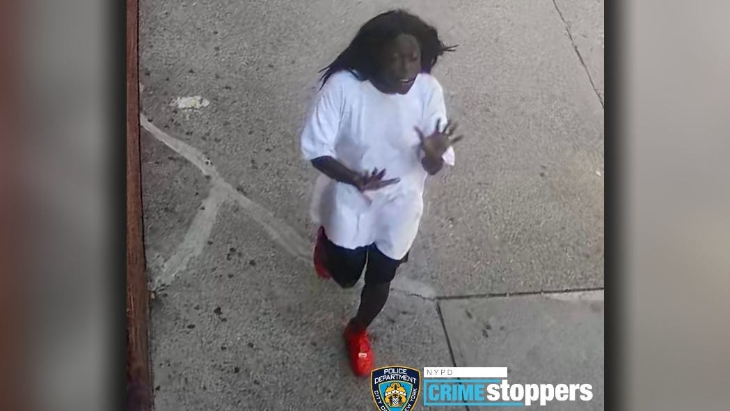 VIDEO: Girl, 2, shoved to ground while walking with mom on Bronx street