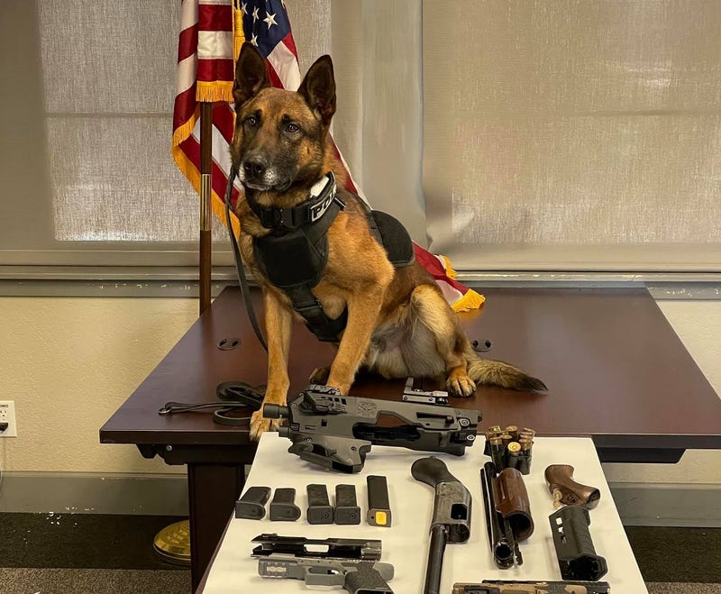 A Benicia police K-9 helped officers uncover a stash of illegal firearms.
