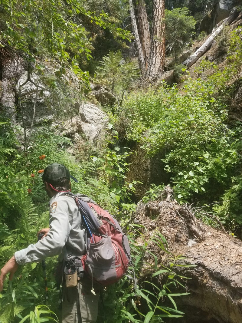 An NPS ground searcher navigates challenging terrain in the search for Matthew Thoke.
