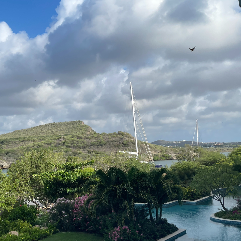 Coop's Adventures at Sandals® Royal Curaçao