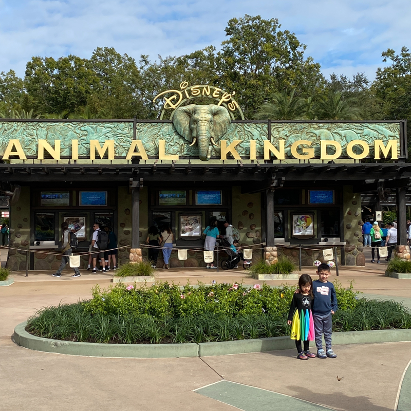 Coop's Adventures at Walt Disney World Resort