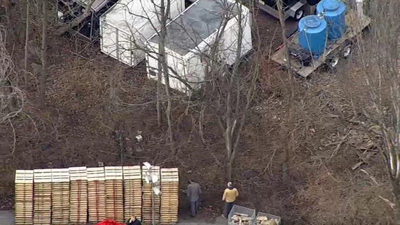 Police are seen searching a wooded area behind a warehouse in Royesford, Pa. 