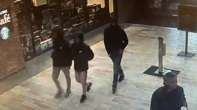 Christiana Mall shooting suspects