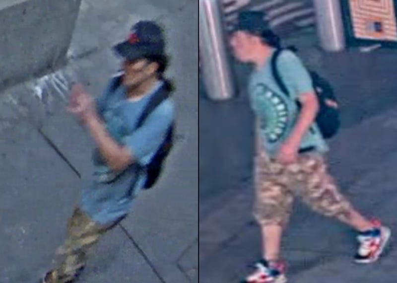 The suspect fled with the victim's wallet at West 43rd Street and Fifth Avenue