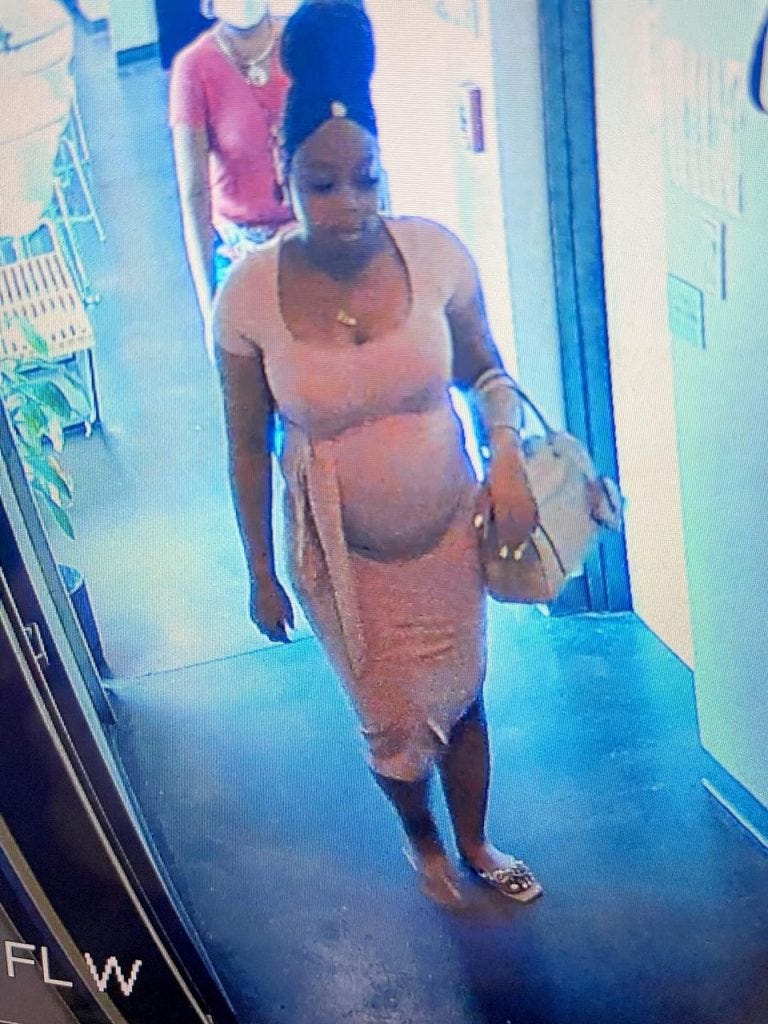Surveillance video shows Yarianna Wheeler before she went missing and was later found dead in Lake Michigan
