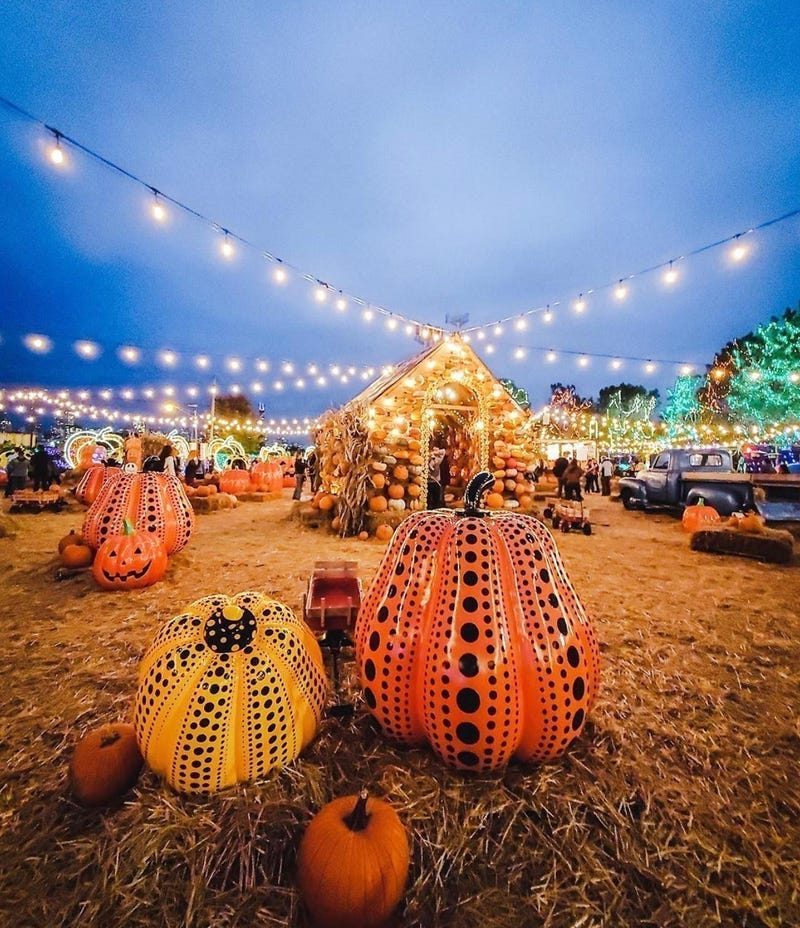 Jack's Pumpkin Pop-Up
