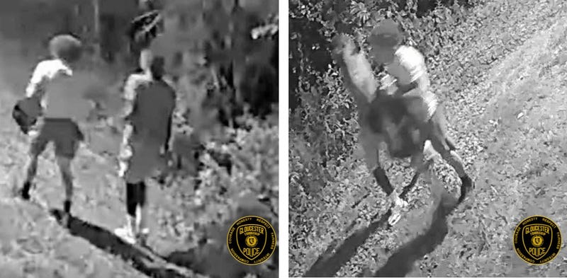 Two persons of interest from a Gloucester Township apartment fire