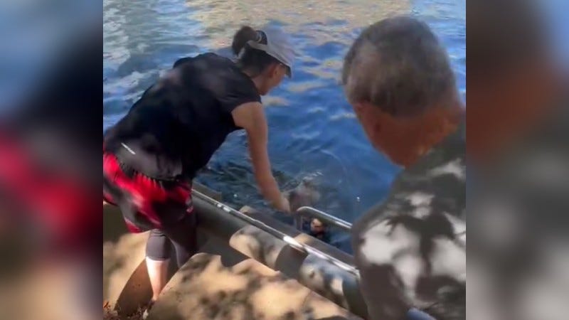 Two men went into the Schuylkill River on Monday morning after a dog jumped in.